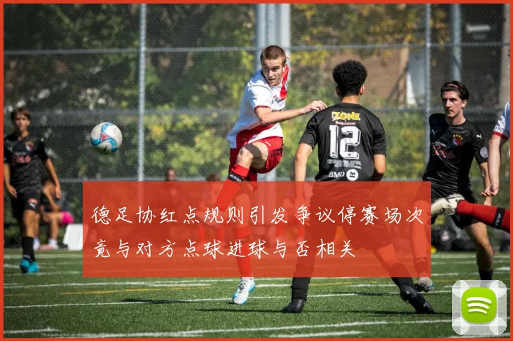 德足协红点规则引发争议停赛场次竟与对方点球进球与否相关