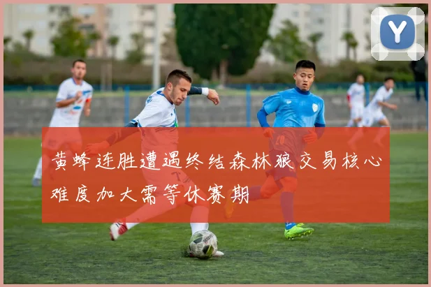 黄蜂连胜遭遇终结森林狼交易核心难度加大需等休赛期
