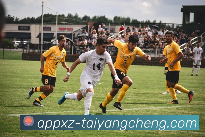 太阳城平台生态图